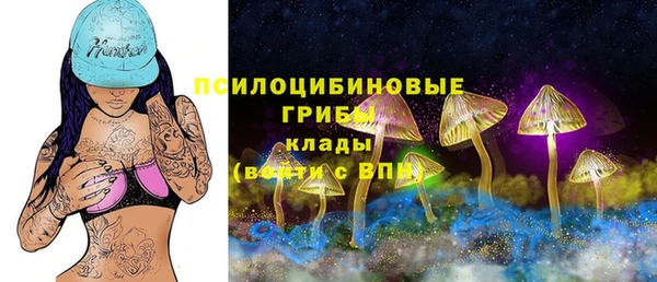 ALPHA PVP Баксан