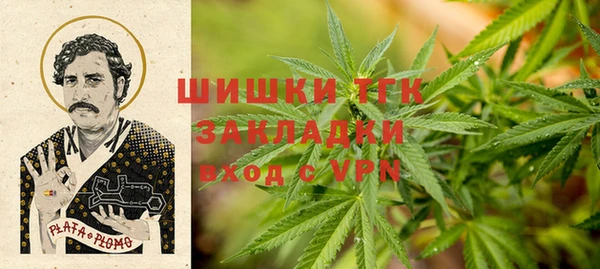 стафф Арсеньев