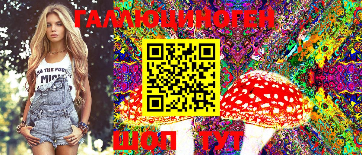 Галлюциногенные грибы Cubensis Можга