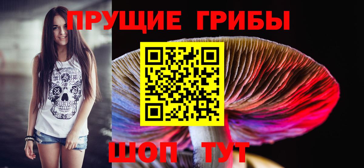Можга  Псилоцибиновые грибы GOLDEN TEACHER  продажа наркотиков  Вход с VPN 